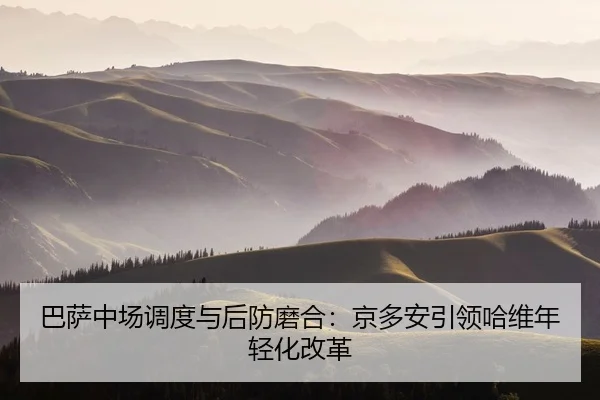 ba-sa-zhong-chang-diao-du-yu-hou-fang-mo-he-jing-duo-an-yin-ling-ha-wei-nian-qing-hua-gai-ge-2-100.jpg