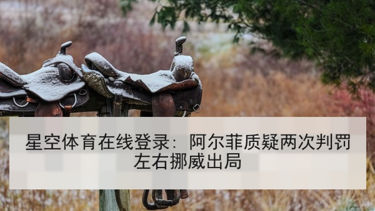 星空体育在线登录: 阿尔菲质疑两次判罚左右挪威出局 星空体育在线登录: 阿尔菲质疑两次判罚左右挪威出局