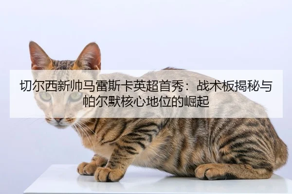 qie-er-xi-xin-shuai-ma-lei-si-ka-ying-chao-shou-xiu-zhan-shu-ban-jie-mi-yu-pa-er-mo-he-xin-di-wei-de-jue-qi-2-835.jpg