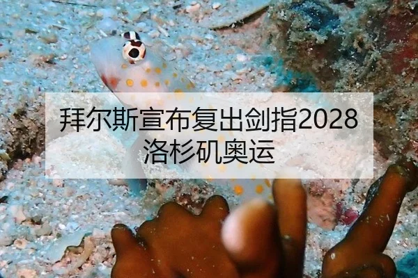 拜尔斯宣布复出剑指2028洛杉矶奥运