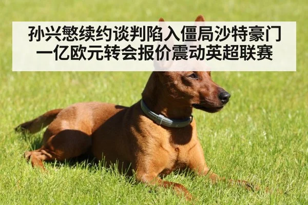 孙兴慜续约谈判陷入僵局沙特豪门一亿欧元转会报价震动英超联赛